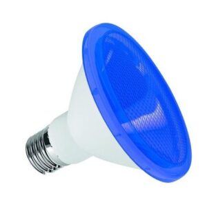 LAMPADA LED PAR30 AZUL CTB