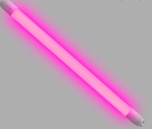 LAMPADA LED TUBULAR T8 9W 60CM ROSA CTB